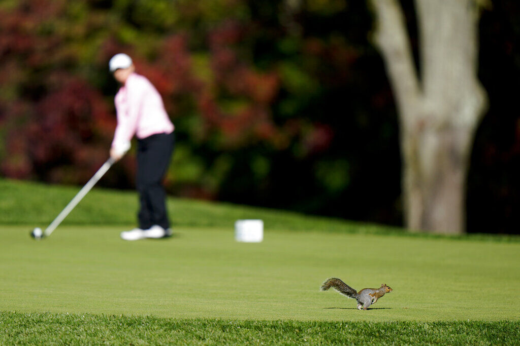 APTOPIX Womens PGA Golf